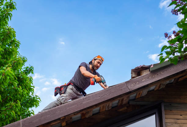 Best Solar Panel Roofing Installation  in Wills Point, TX
