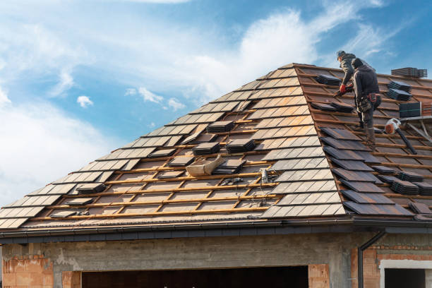 Best Wood Shake Roofing  in Wills Point, TX