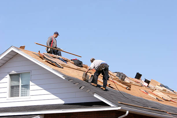 Best Storm Damage Roof Repair  in Wills Point, TX