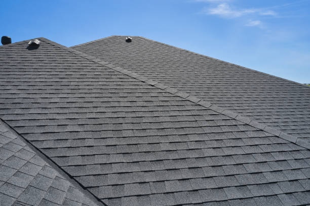 Best Gutter Installation and Repair  in Wills Point, TX